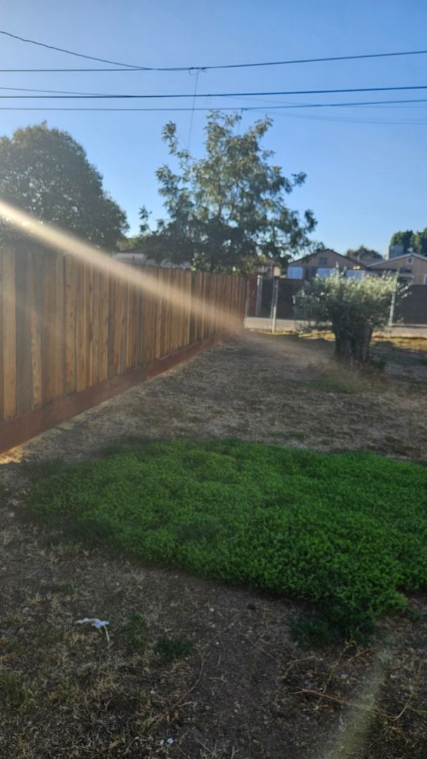 Building Photo - Two Bed One Bath Home with Shed and large backyard and large Driveway.