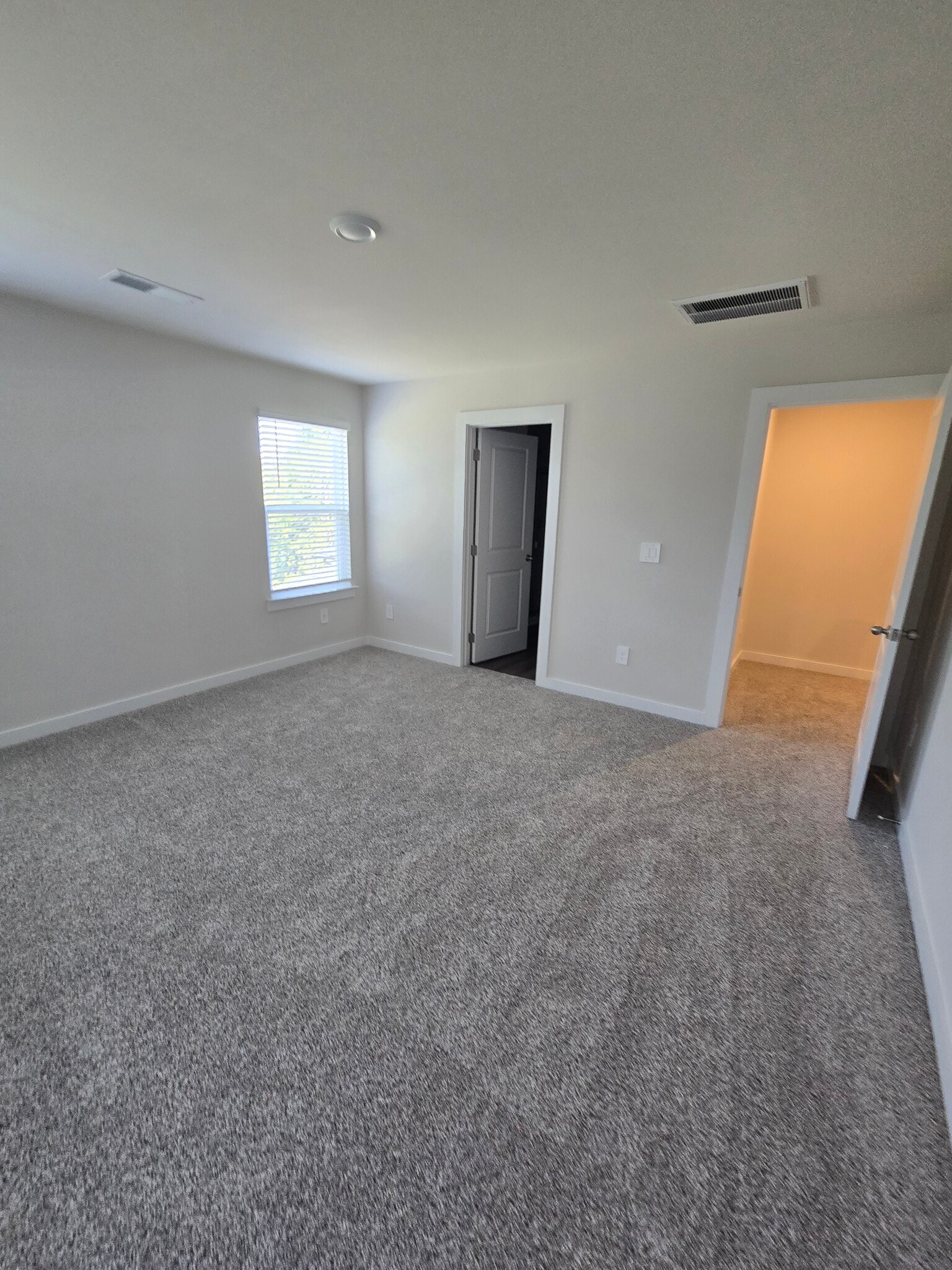 Primary bedroom w/full bath & walk-in clise - 3901 Northbrook Dr