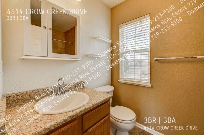 Building Photo - 4514 Crow Creek Dr