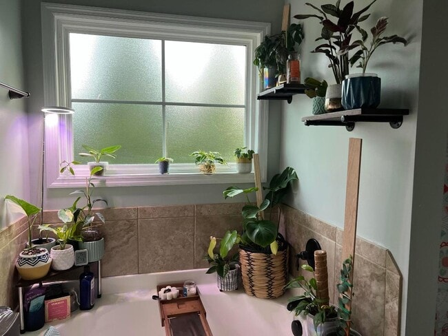 Building Photo - 1111 Rosland Cir