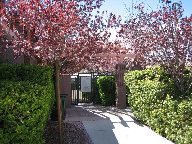 Building Photo - Beautiful 3 bd home in Summerlin Center ne...