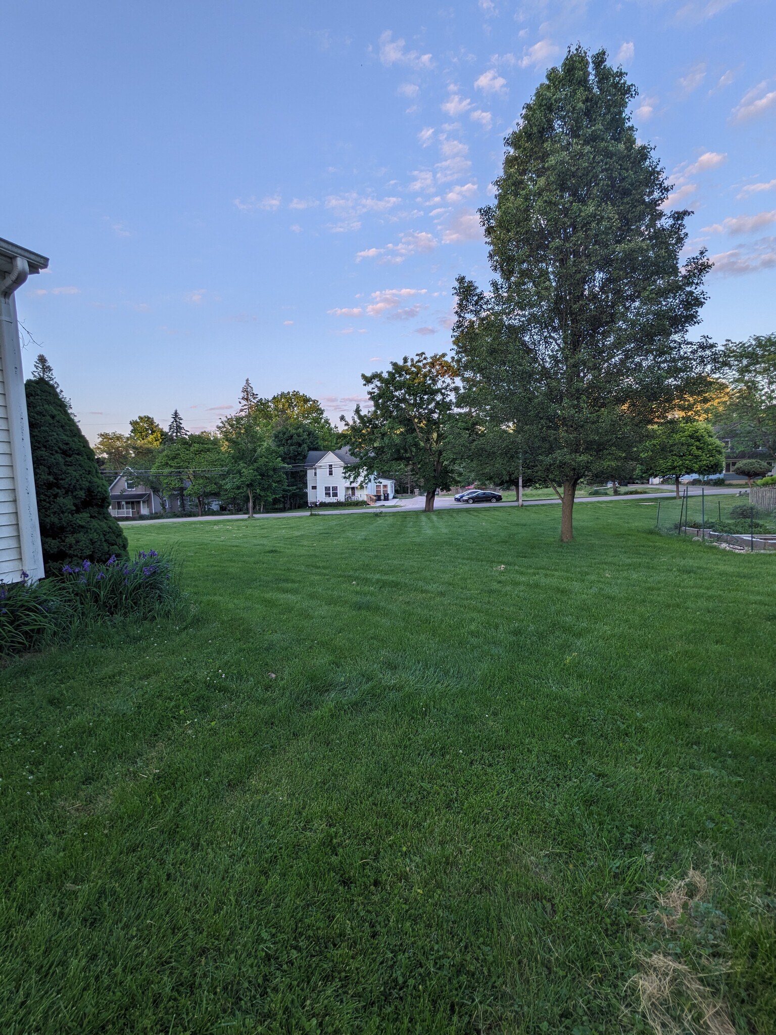 Backyard - 316 S. Macomb