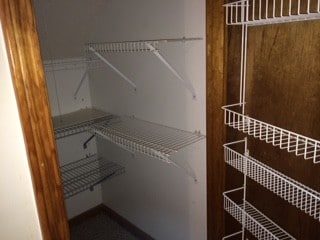 Building Photo - 3517 Curtis Ln