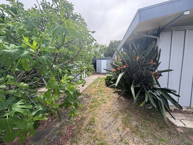 Building Photo - CUPERTINO-charming Eichler house for rent in the heart of Cupertino