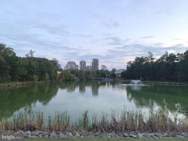 Building Photo - 1701 Lake Shore Crest Dr