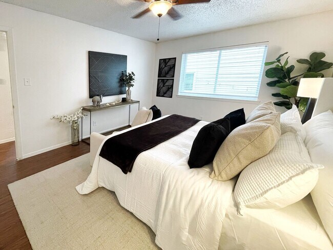 Building Photo - Central Austin Gem – Walk to Central Market!