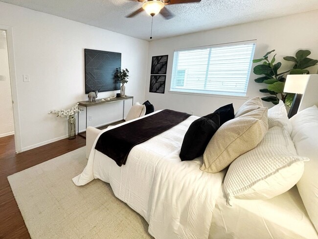 Building Photo - Central Austin One Bedroom Gem - Walk to Central Market!