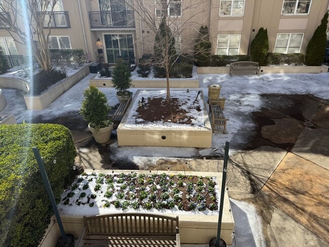 Building Photo - 1315 East Blvd