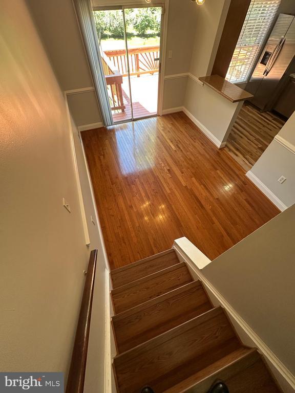 Building Photo - 11546 Cosca Park Pl
