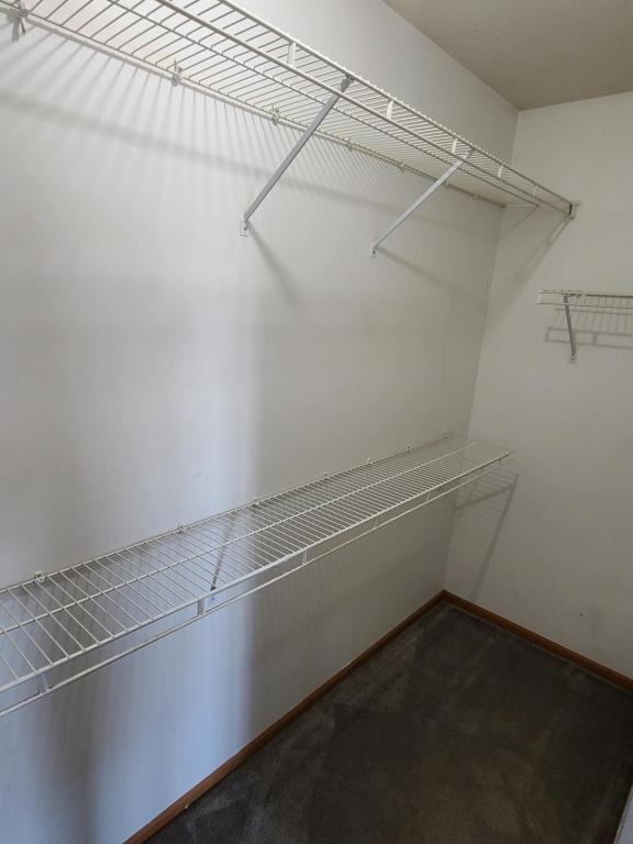 Building Photo - 1361 Cunat Ct