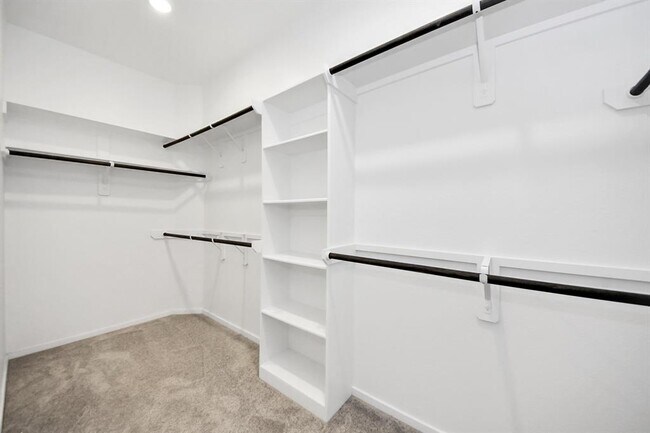 Building Photo - 31703 Daisy Draper Ln