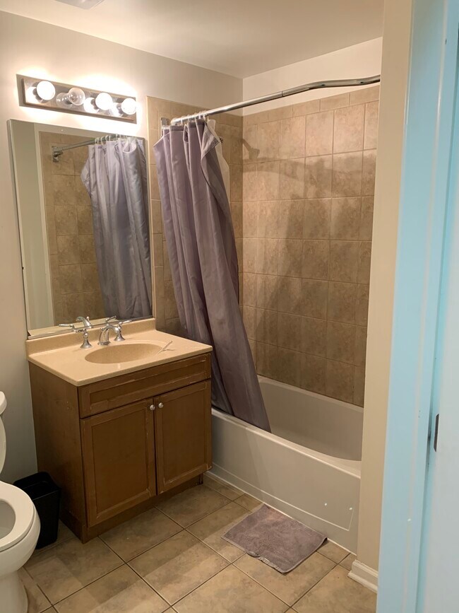 Building Photo - 1451 S Halsted St