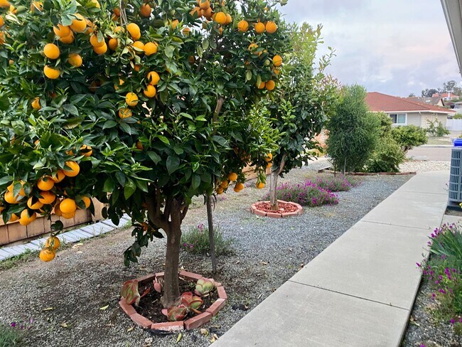 Building Photo - RB Senior 55+ Community 2 Bed +Huge bonus room 2 Baths House $3990