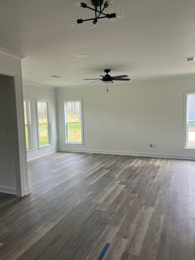 Building Photo - BRAND NEW CONSTRUCTION IN LEE COUNTY!