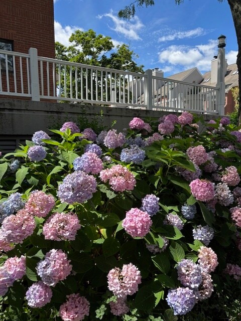 Beautifully maintained grounds - 15 River Rd