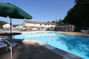 Pool - Williamsburg Park