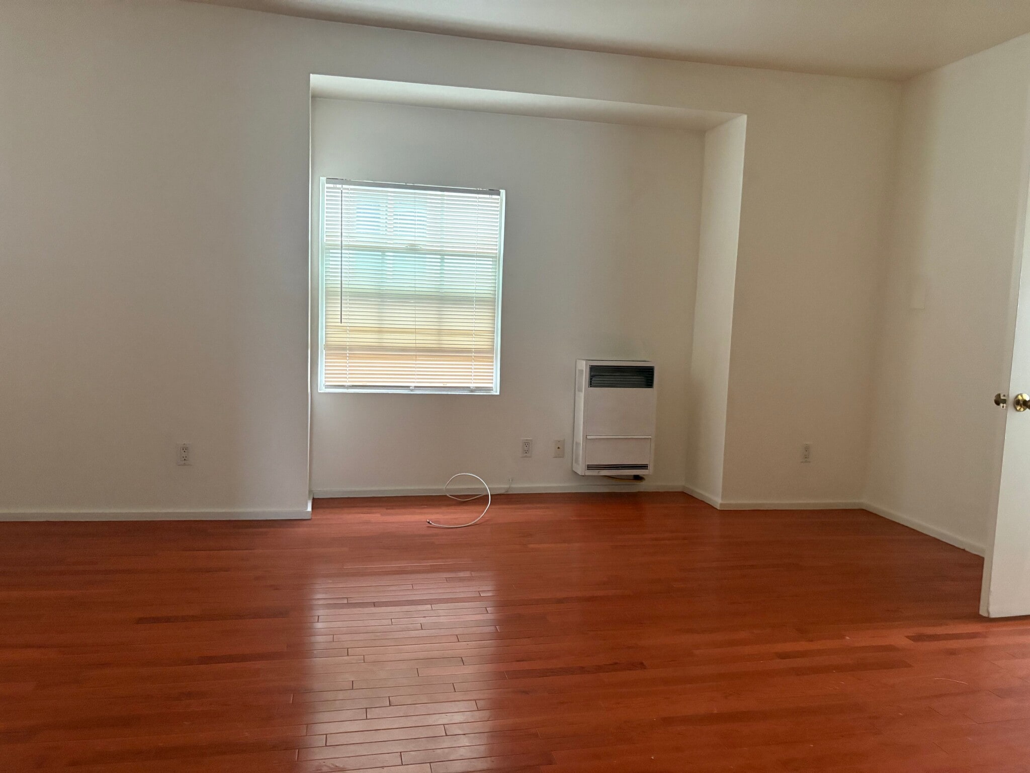 Living Room - 1529 5th Ave