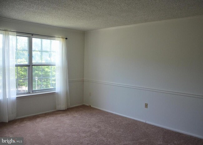 Building Photo - 74 Lehavre Ct