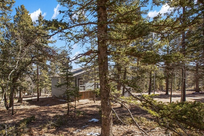 Building Photo - 69 Mt Powderhorn Rd