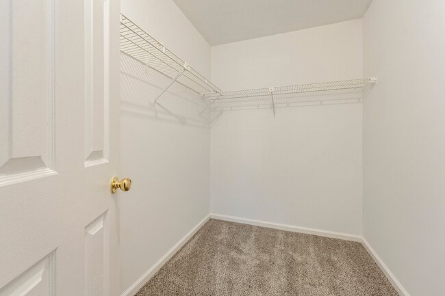 Building Photo - 6017 Treetop Ct
