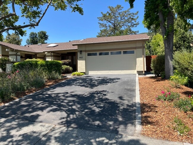 Building Photo - 443 San Marin Dr