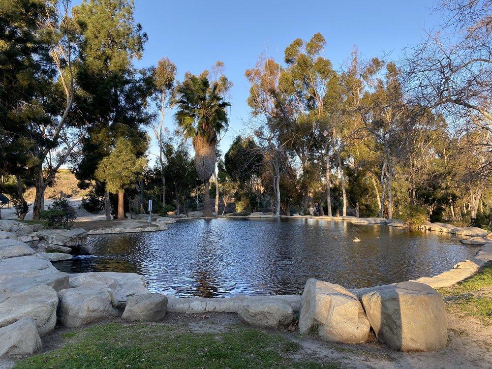 Building Photo - 577 Daniel Freeman Cir