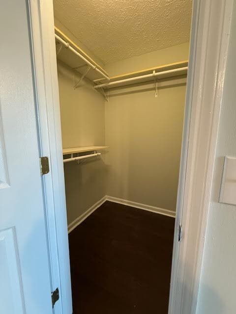 Building Photo - 6917 Alamosa Dr