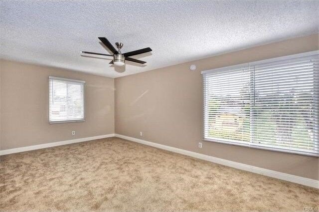 Building Photo - 137 Avenida Sierra