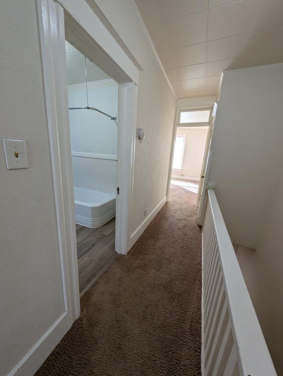 Building Photo - 124-134.5-1345 Hamilton St