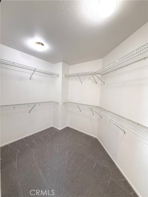 Building Photo - 24578 Sunshine Dr