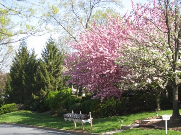 Primary Photo - 575 Roslaire Dr