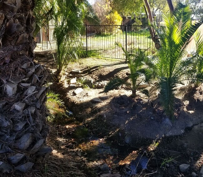 Building Photo - SLO Tropical Private Bungalow ideally located close to Cal Poly!