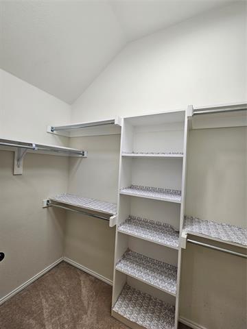 Building Photo - 312 Portland Ct