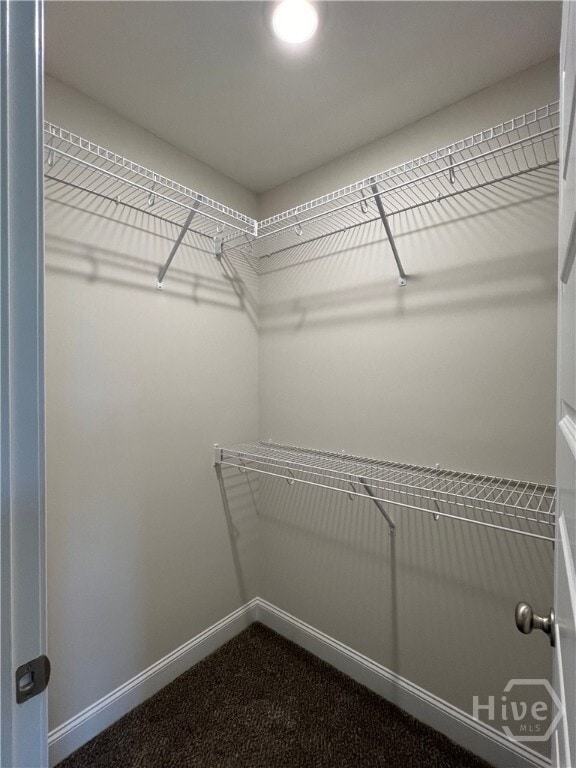 Building Photo - 403 Satilla Ct