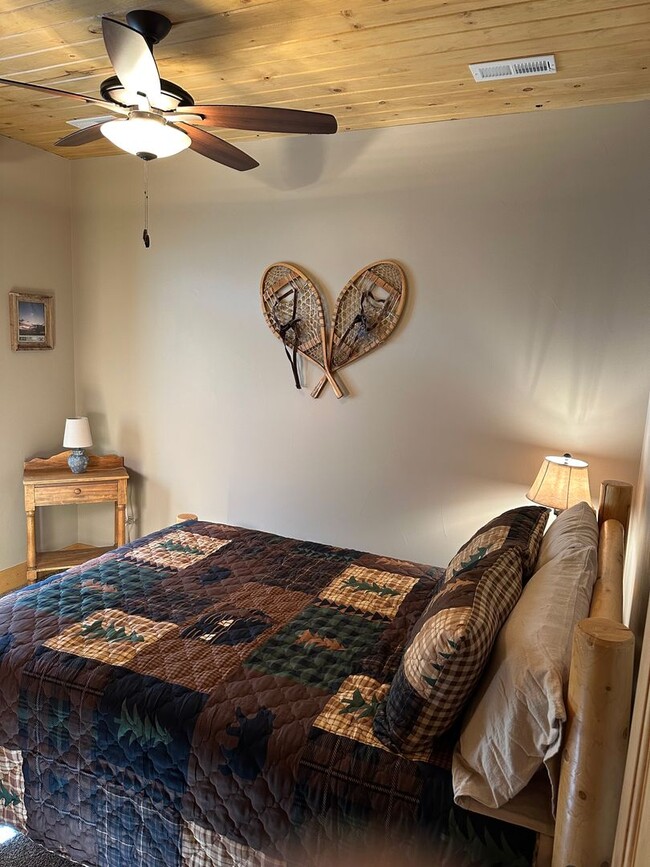 Building Photo - 6 month lease! Fairplay Cabin! 2 beds plus...