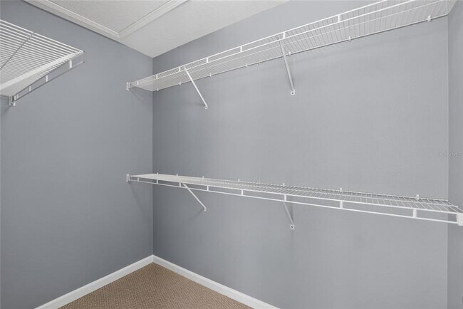 Building Photo - 10137 Pink Palmata Ct