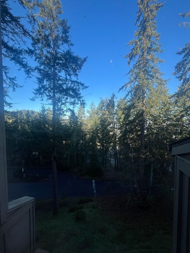 Building Photo - 2-Bedroom 2-Bathroom Condo in the Trees!!!!