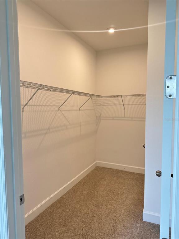 Building Photo - 3220 Canna Lily Pl
