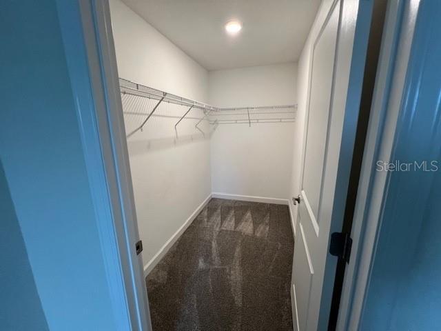 Building Photo - 11138 Cyrilla Woods Dr