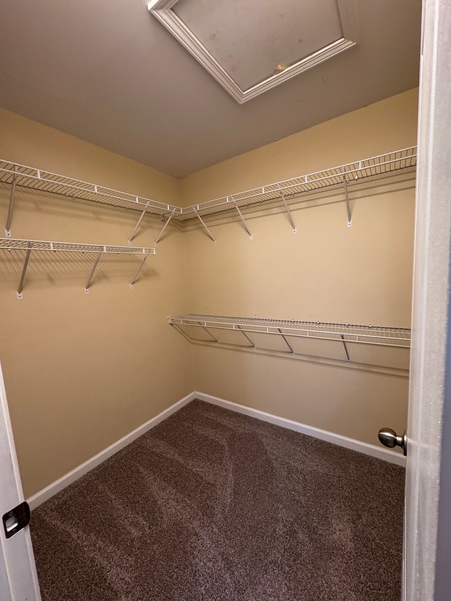 Building Photo - 3570 Castlebrooke Ln