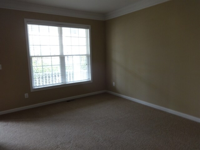 Building Photo - 1729 Brandemere Dr SW