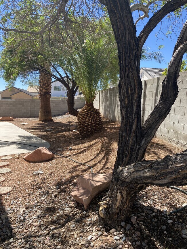 Building Photo - 4365 Desert Dancer Way