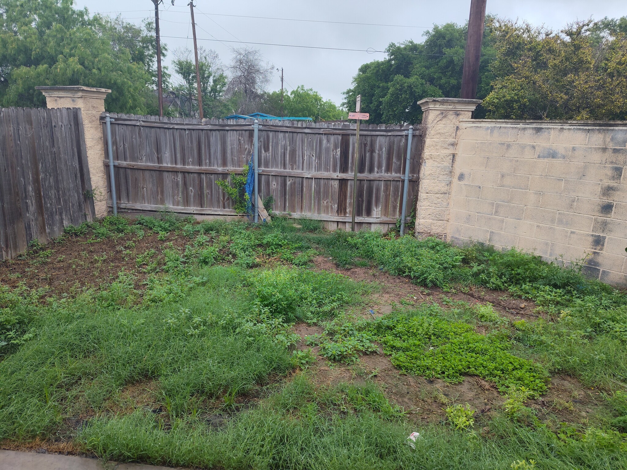 Building Photo - 2117 Aruba Dr