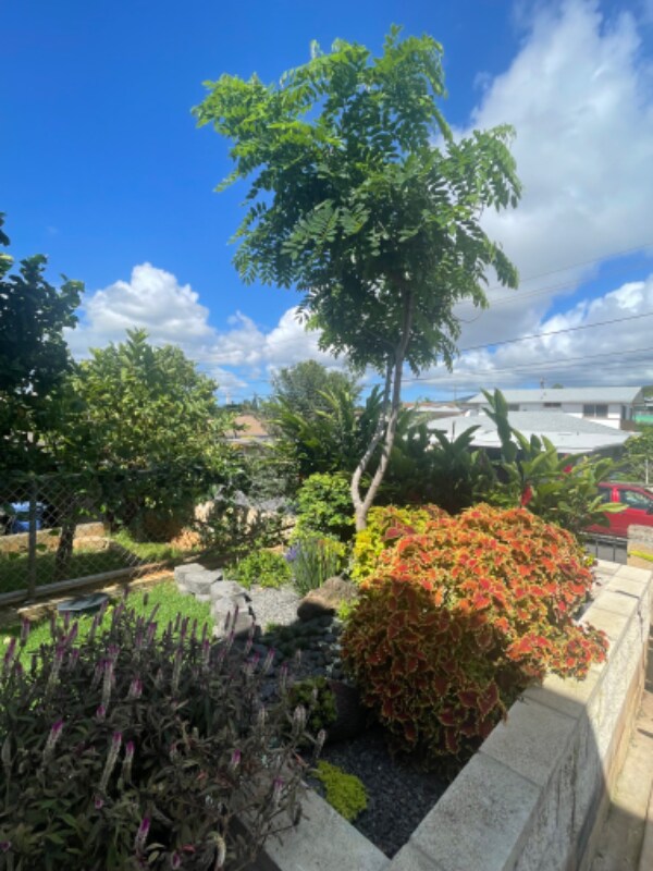 Building Photo - 94-361-361 Kahuanani St