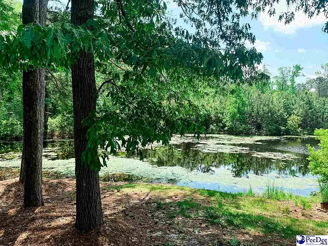 Building Photo - 303 Gator Lake Ct