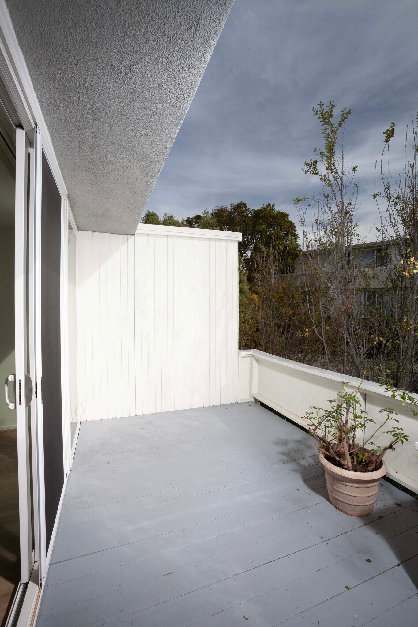Spacious and bright patio perfect for entertaining or relaxing - 478 Seaward Rd