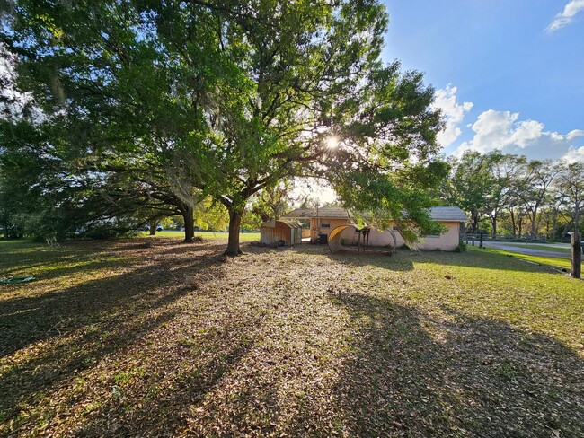 Building Photo - ADORABLE 3 Bedroom with a HUGE YARD in Lak...