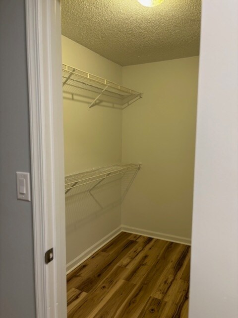 Building Photo - 305 Settlement Dr