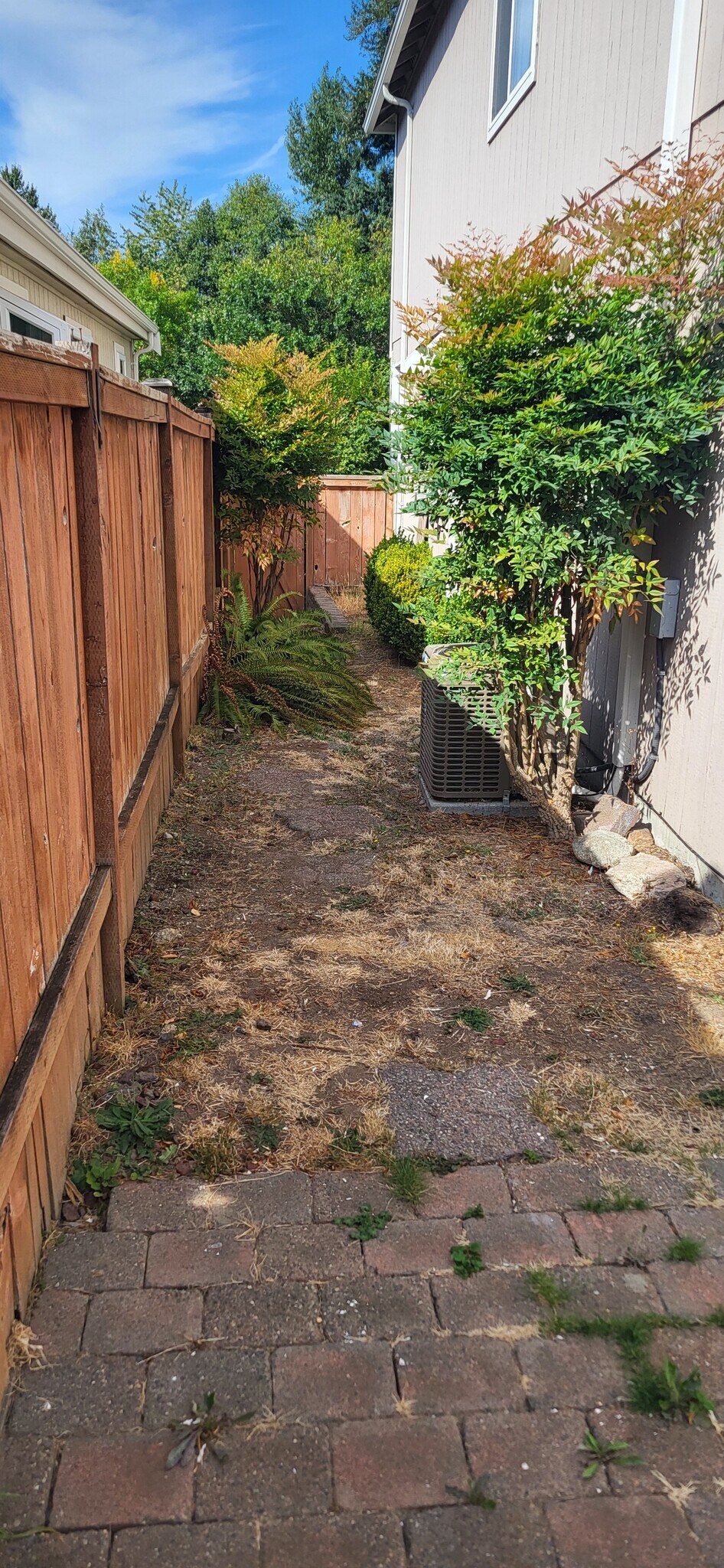 West Side Yard - 806 29th Ave SE