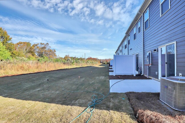 Building Photo - Brand NEW Townhome for RENT!